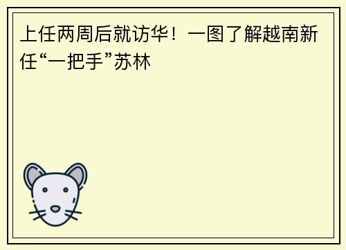 上任两周后就访华！一图了解越南新任“一把手”苏林