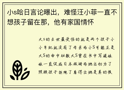 小s哈日言论曝出，难怪汪小菲一直不想孩子留在那，他有家国情怀